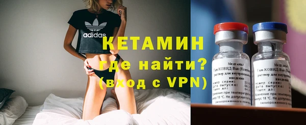 крисы Алексин
