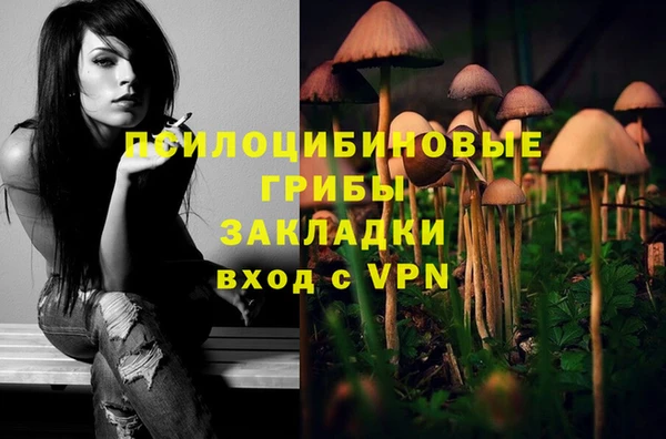 крисы Алексин