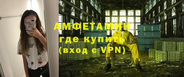 крисы Алексин