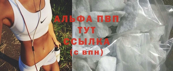крисы Алексин